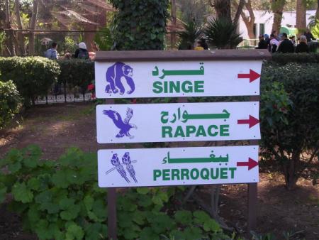 Non, non!! ce n'est pas un Zoo....Mais un Resto!!